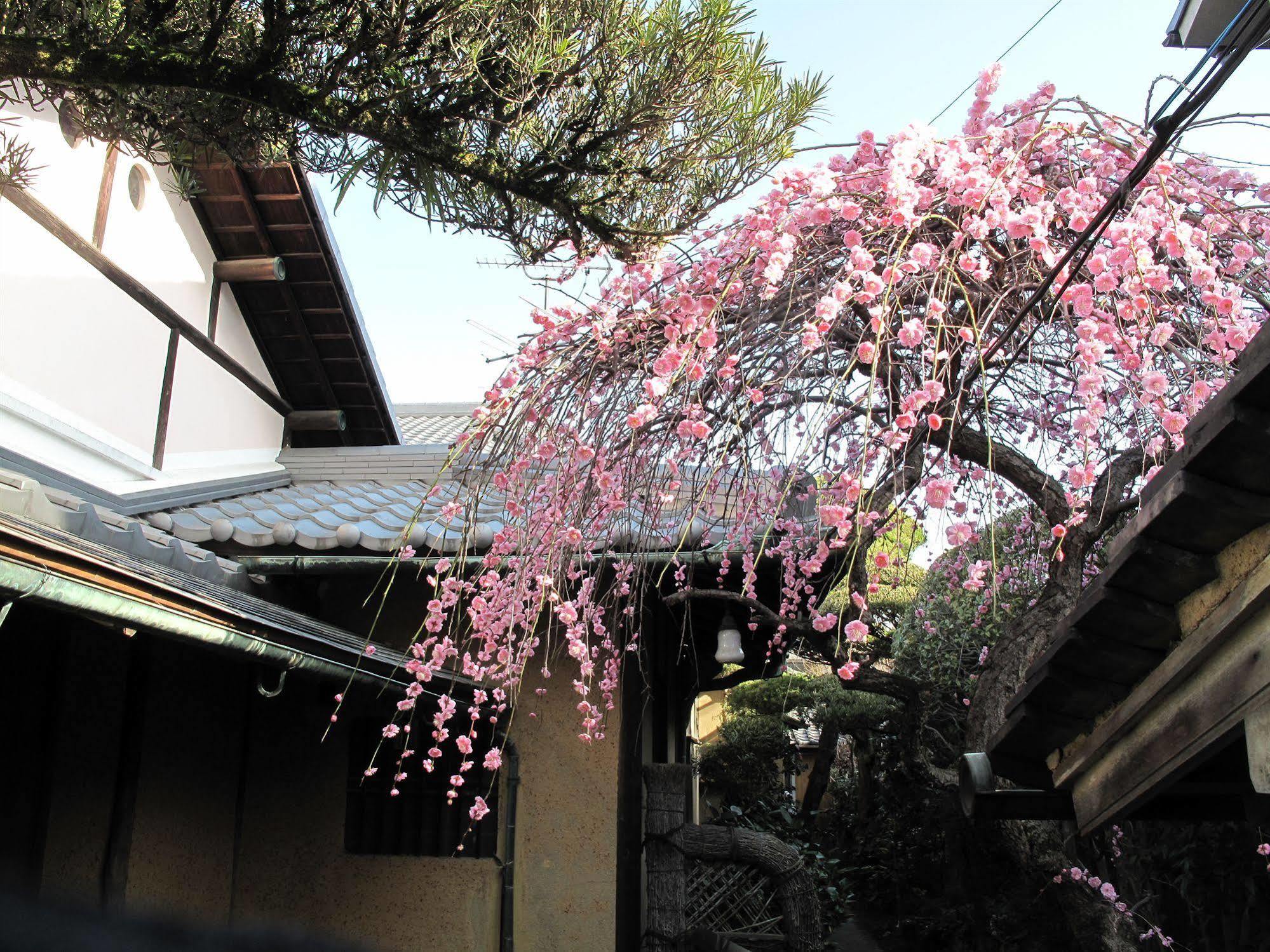 Guesthouse Nara Backpackers Exterior photo